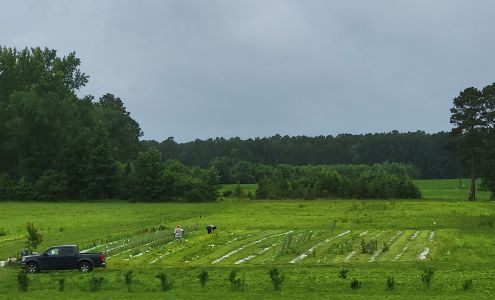 Hardy Family Farm Sedley