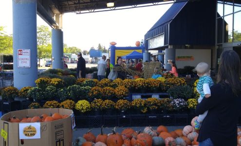 StoneRidge Piggly Wiggly Little Chute