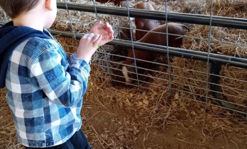 Big John's Grocery Pleasant Hill