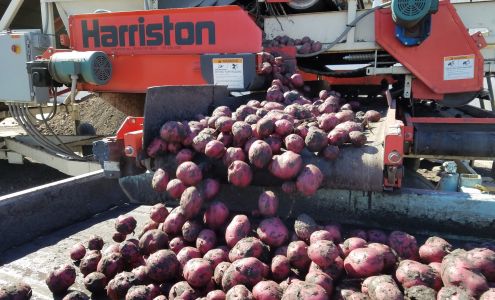 Associated Potato Growers