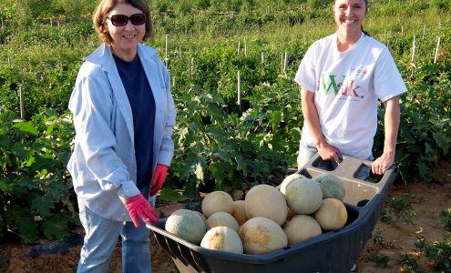 The Gleaning Project of South Central PA