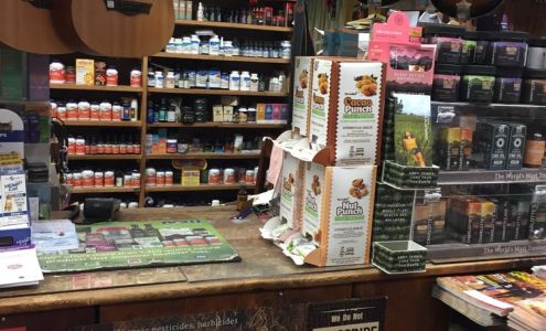 Down To Earth Natural Foods