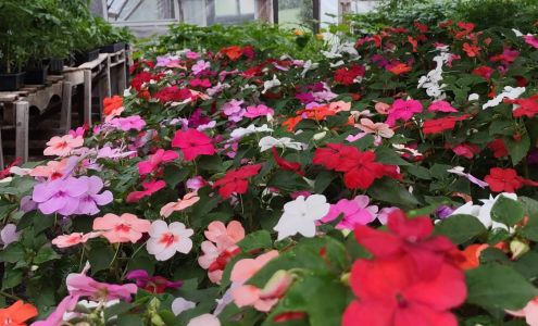 Sheeley's Organic Farm Stand Accord