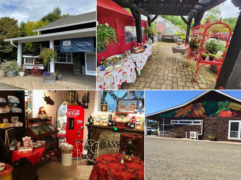 Bear Creek Artichokes