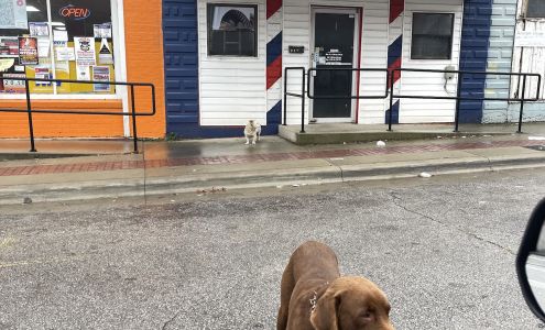 El Quetzal Buena Vista