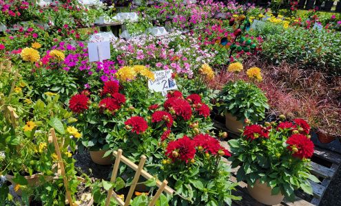 Gallo's of Woodstock