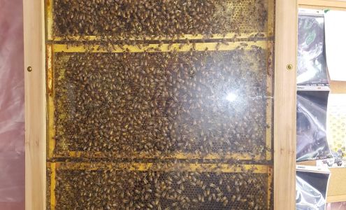 Roraback Garden Market