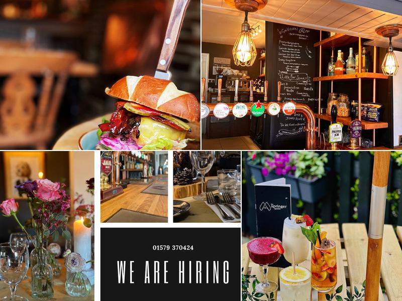 The Springer Spaniel