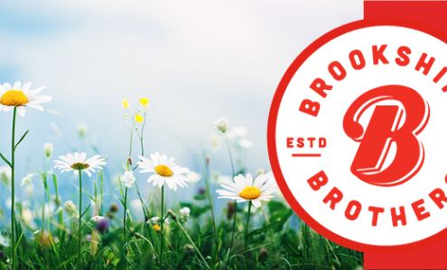 Brookshire Brothers Pharmacy Jewett