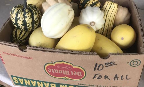 King's Farm Market Canisteo