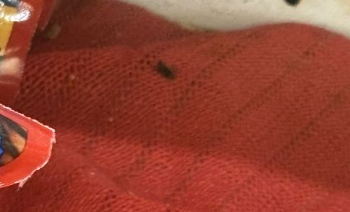 Gordin's Butcher Shoppe