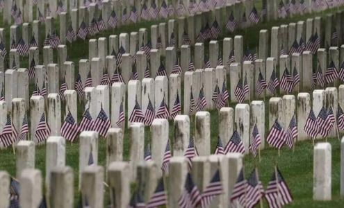 Patterson Pharmacare Patterson