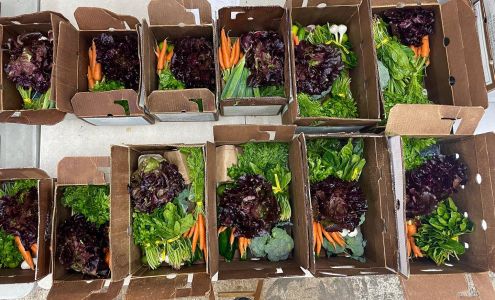 Plow To Porch Organics