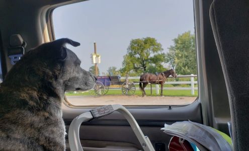 Lake View Grocery (Amish Store)