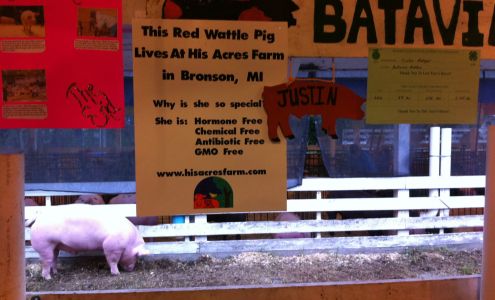 His Acres Farm