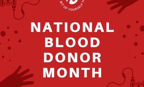 Big C Discount Drugs Scottsboro