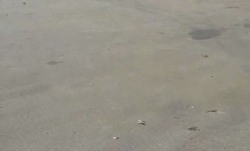 Schwan's Consumer Brands