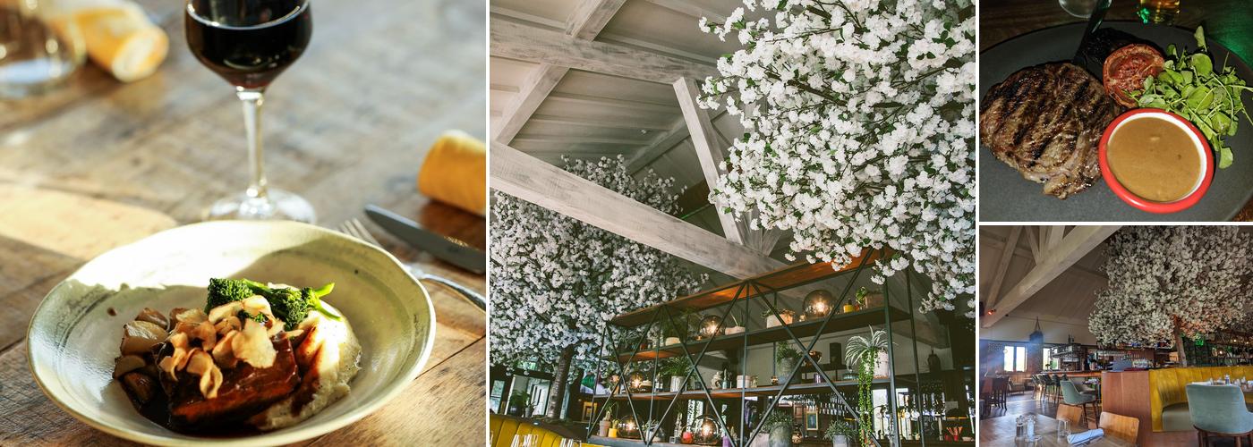 Castle Kitchen + Bar