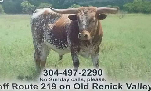 Countryside Meat Processing Renick