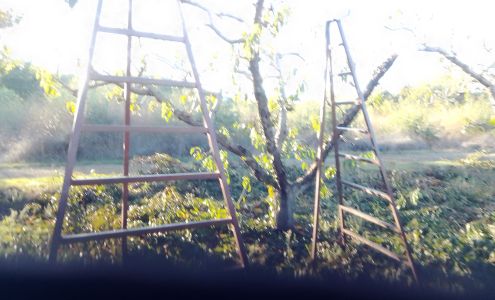 Federation of Southern Cooperatives