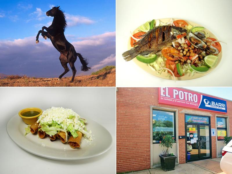 El Potro Restaurant