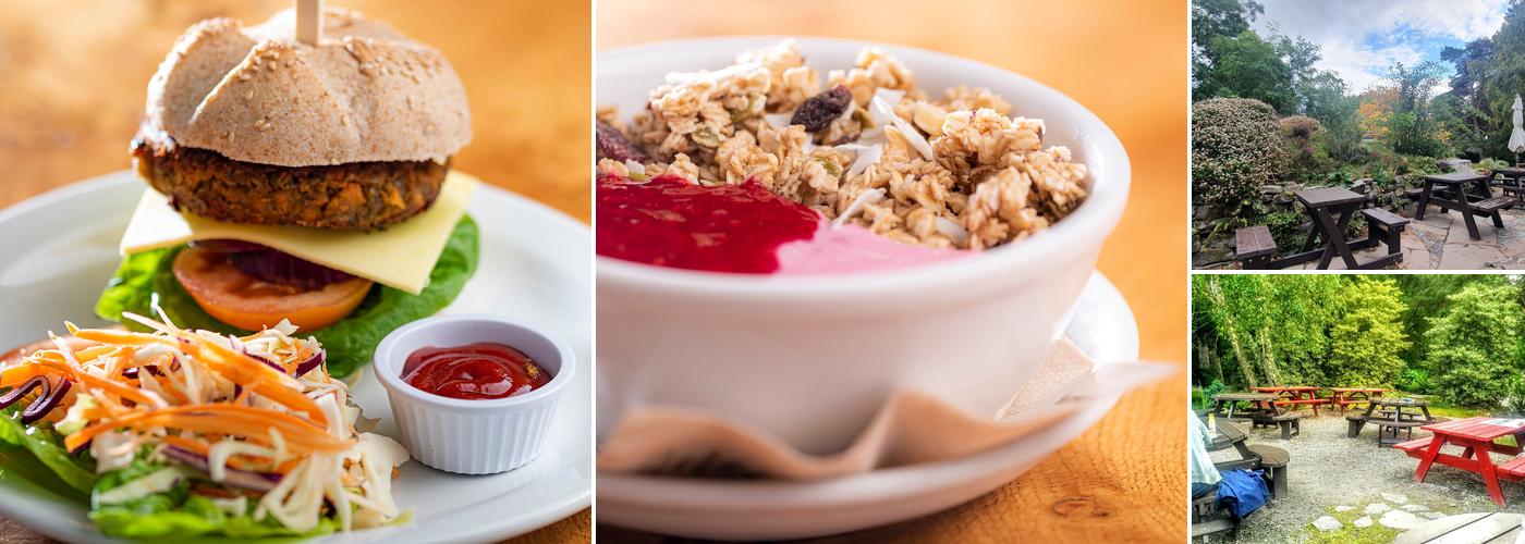 The Phoenix Café Bar, Findhorn