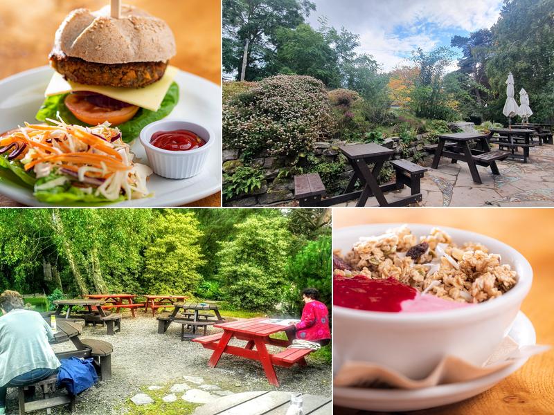 The Phoenix Café Bar, Findhorn