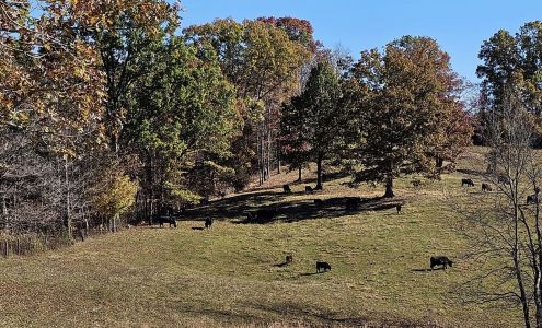Big Oak Farm Freezer Beef Stamping Ground