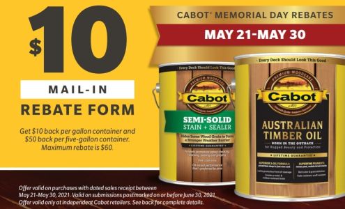 Rust's Hardware Hank Turtle Lake