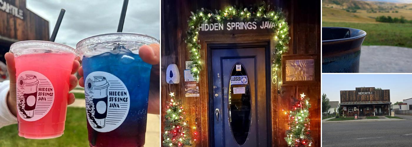 Hidden Springs Java