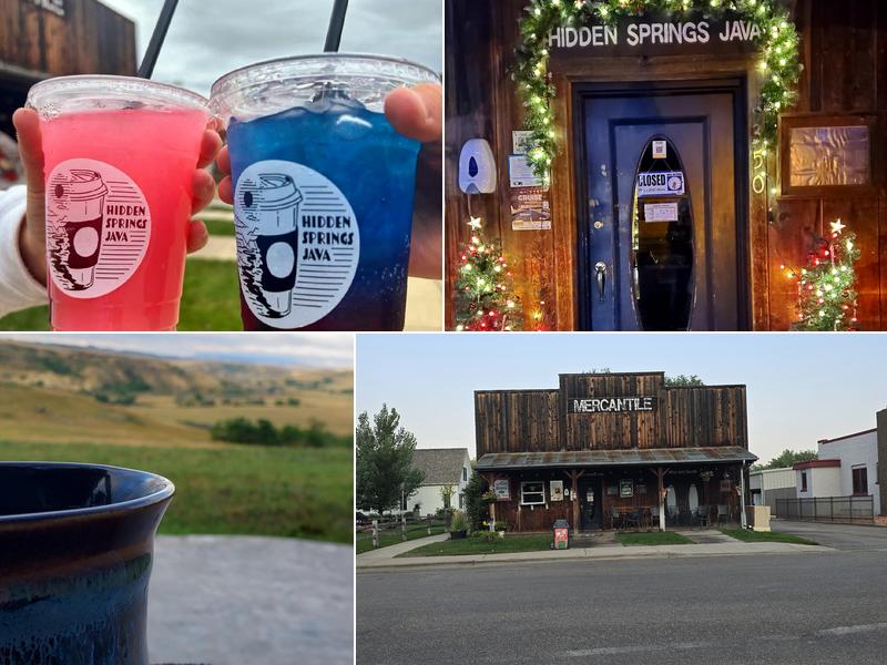 Hidden Springs Java 350 4th St, Medora