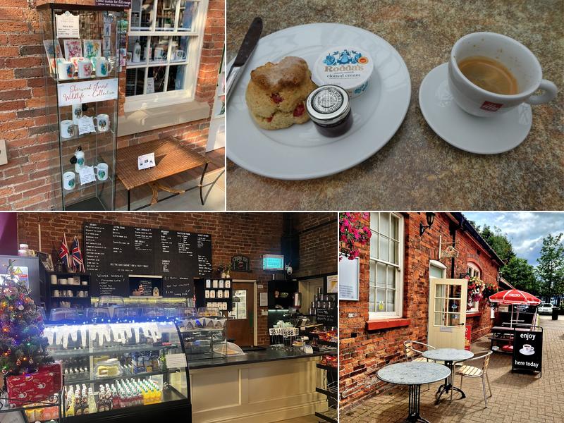 The Cafe in Sherwood Forest