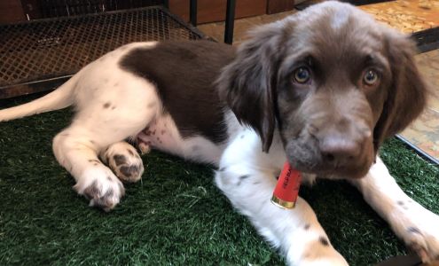 Stoffel's Country Store