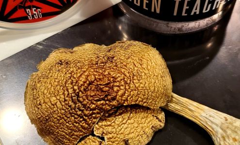 Cannasense Foundation