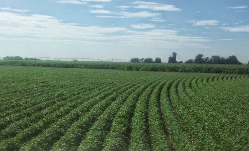 Rusler Produce Avondale