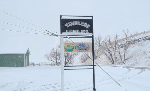 Timeless Seeds & Timeless Natural Food Ulm