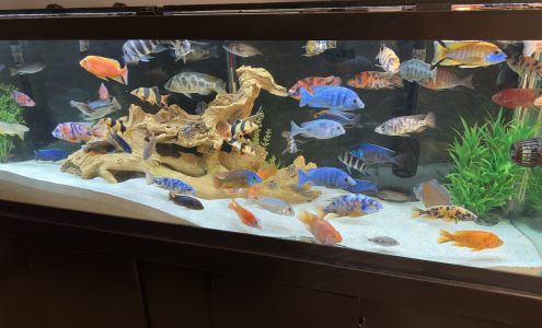 Xtreme Aquatic Foods Princeton