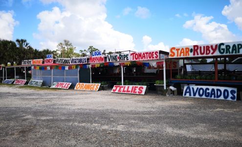 Fresh Fruit Stand Wallisville