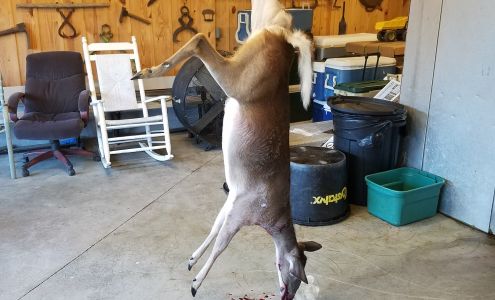 Tucker's Deer Processing