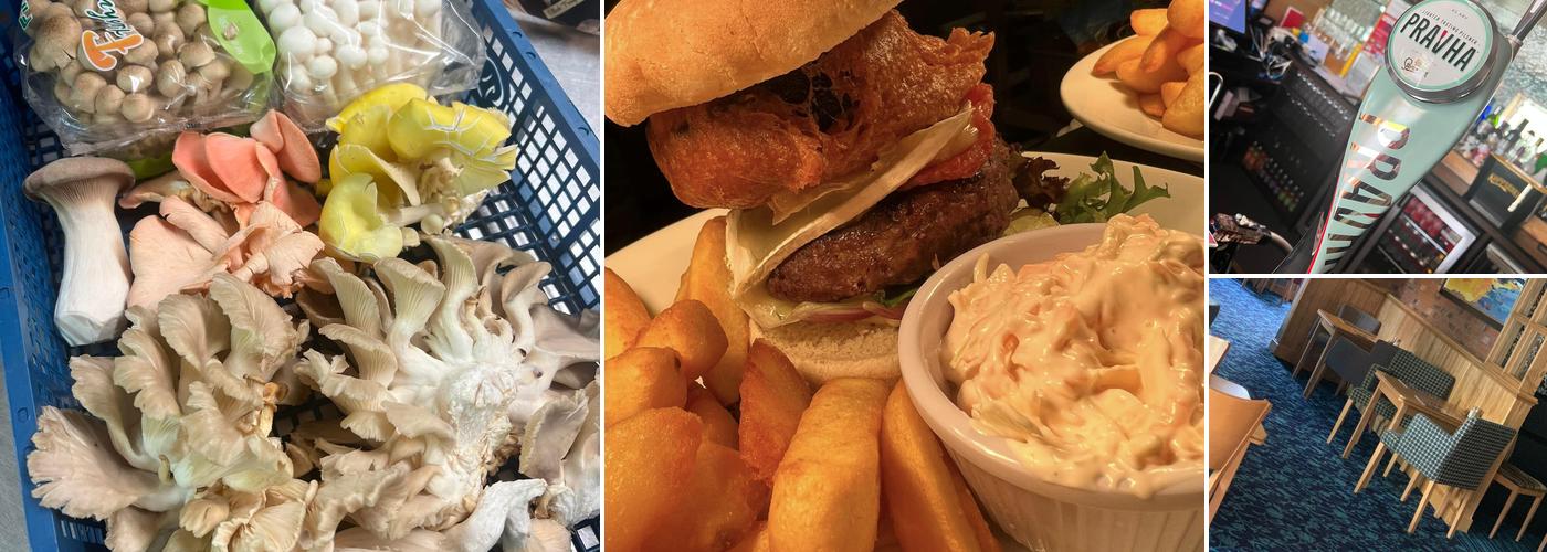 The Swan - Kingholm Quay