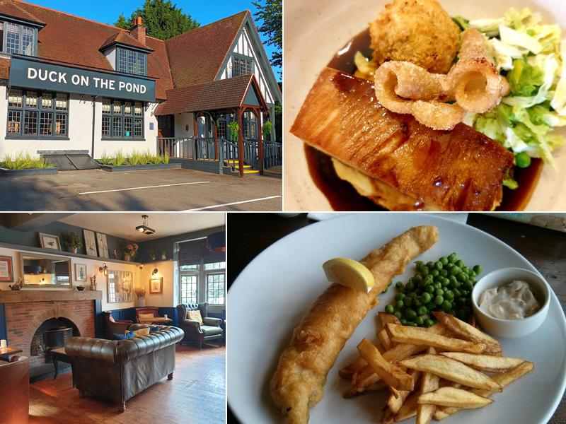 Duck on the Pond Long Itchington