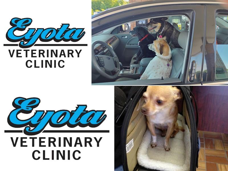 Eyota Veterinary Clinic