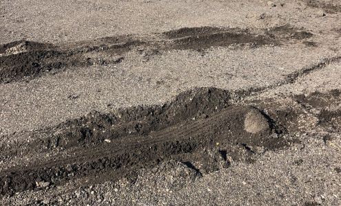 Nutri-Shield Inc Courtland