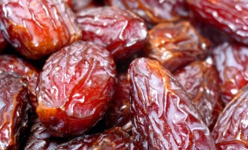 Dateland Date Gardens Dateland