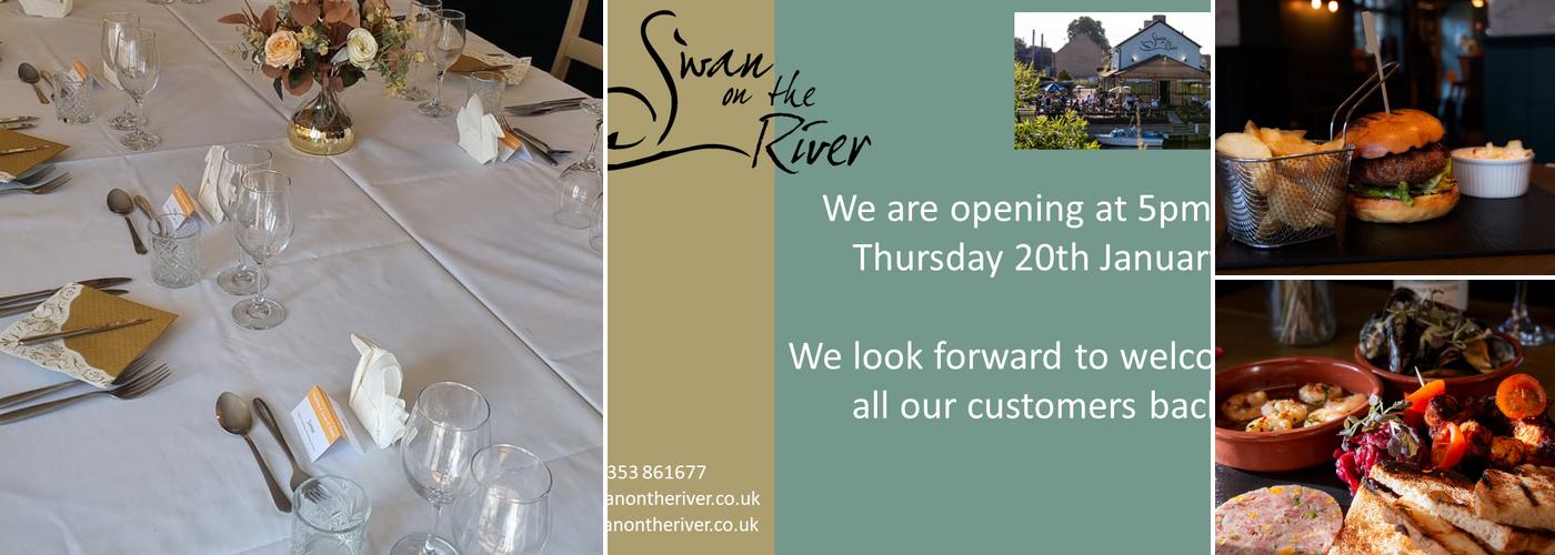 Swan on the River Littleport