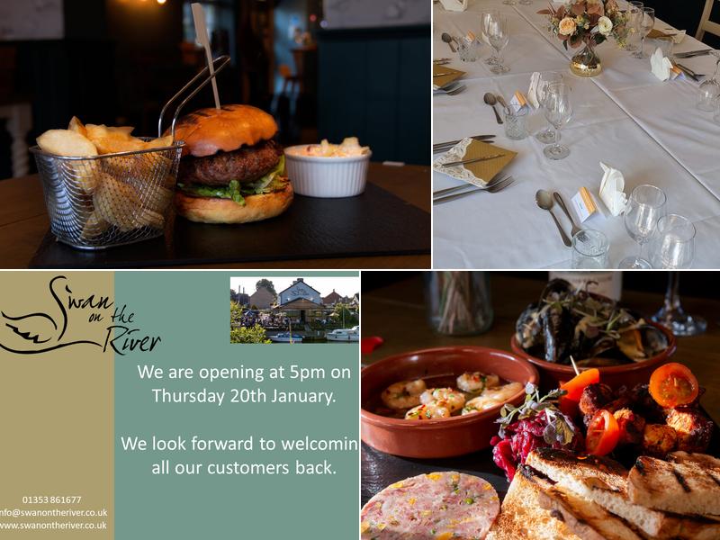 Swan on the River Littleport