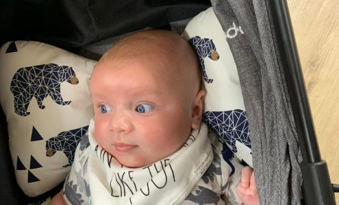 Mustard Seed Columbia