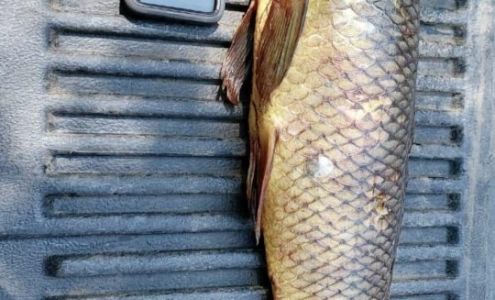 Mescalero Drug Court Mescalero