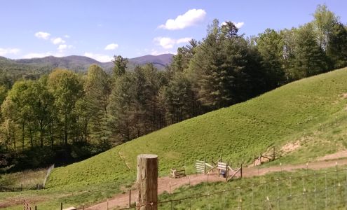 Three Graces Dairy Marshall