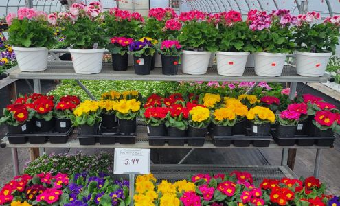 Kramer Mill Greenhouses